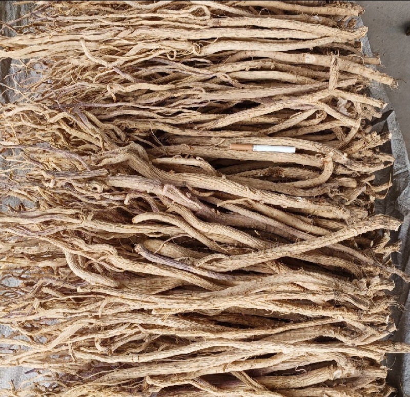 甘肃产地关防风去头货，大量供货，现货现发保质保量