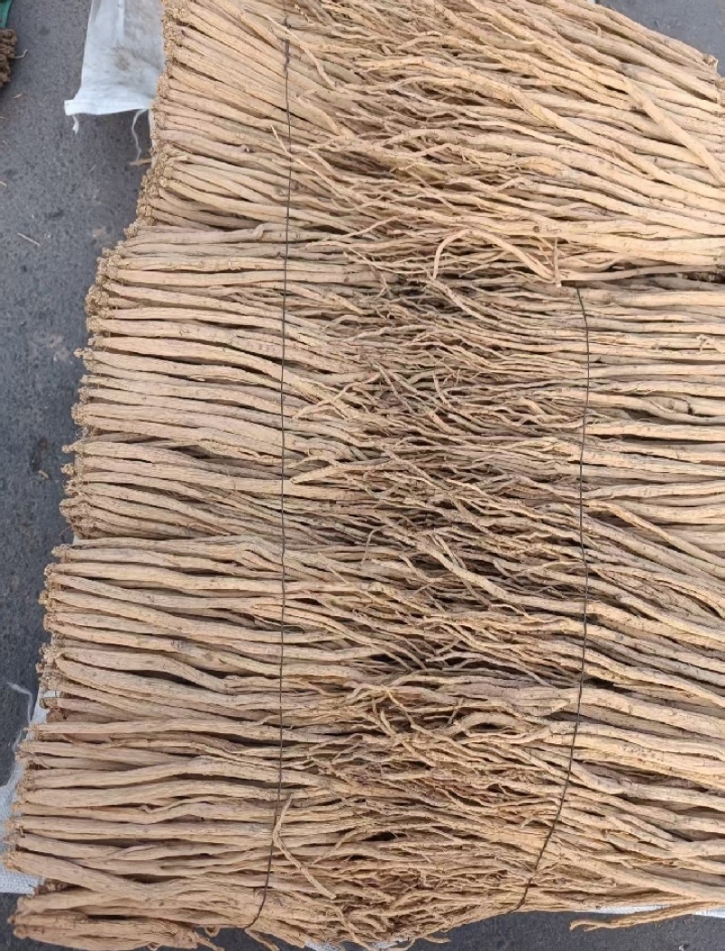 甘肃白条党参产地直销，对接全国，诚信经营，可供市场，电商