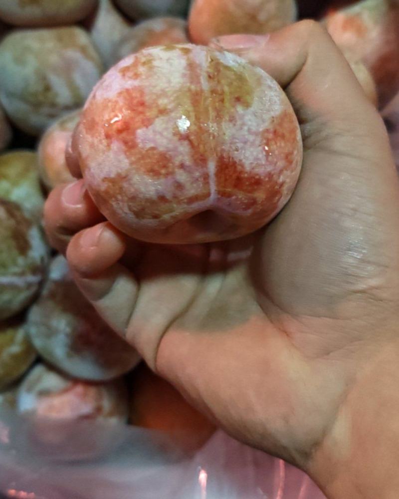 新疆杏李，恐龙蛋，纯甜18-24糖，一级商品果