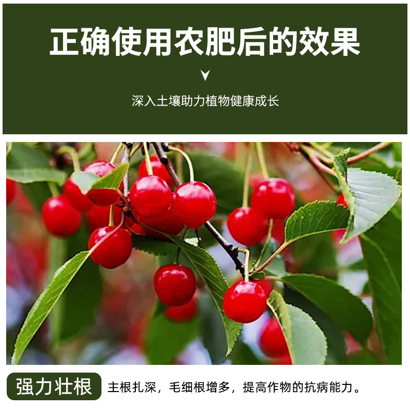 含氨有机水溶肥叶面肥（广谱型）适用生根壮苗防治土传病害