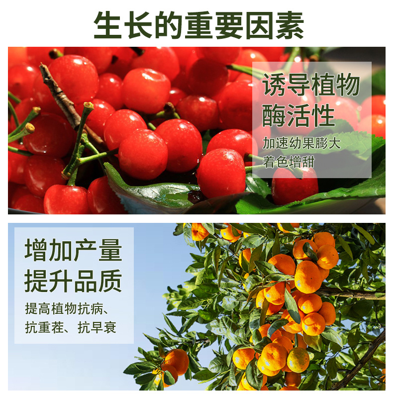 含氨有机水溶肥叶面肥（广谱型）适用生根壮苗防治土传病害