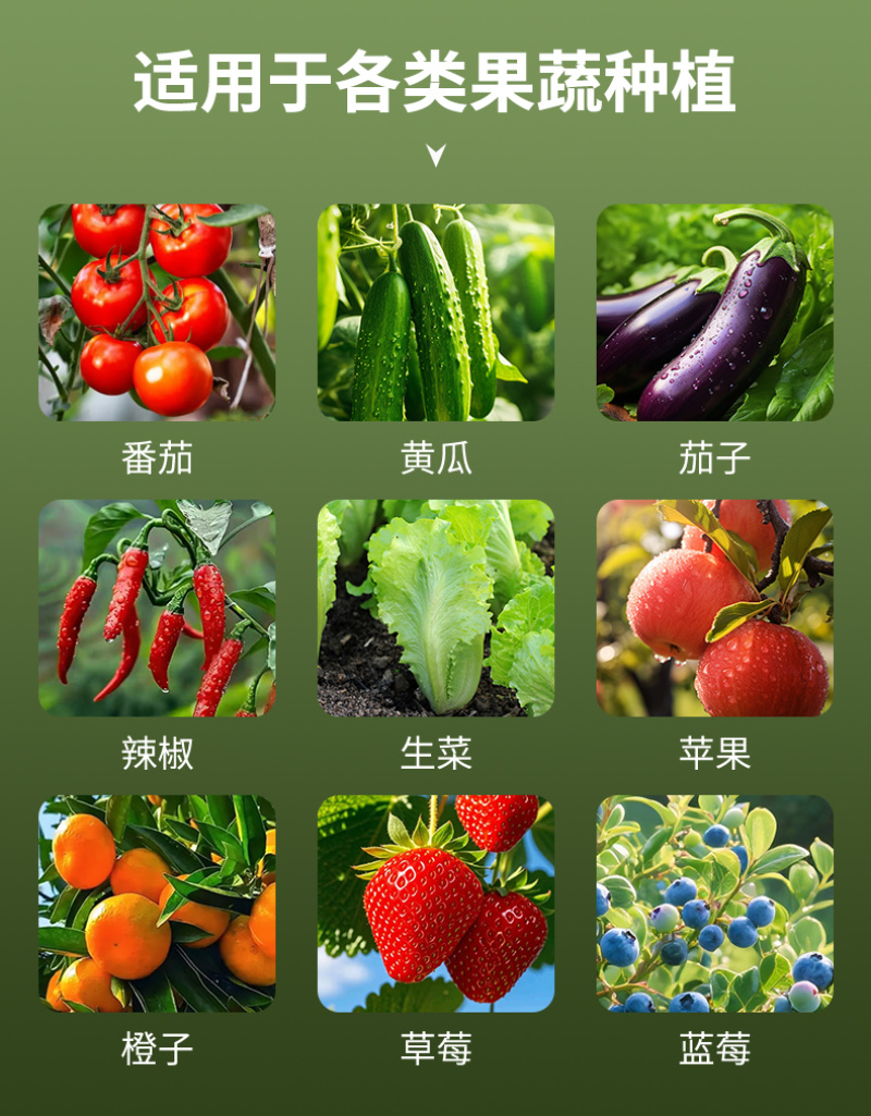 含氨有机水溶肥叶面肥（广谱型）适用生根壮苗防治土传病害