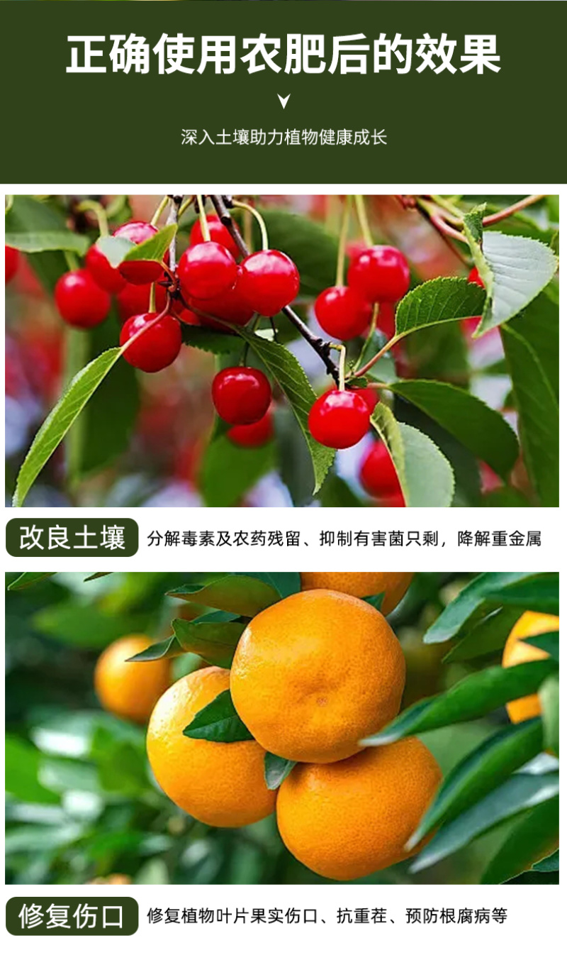蔬菜花卉专用杀菌型肥料防死苗烂根青枯立枯萎防根腐猝倒腐烂