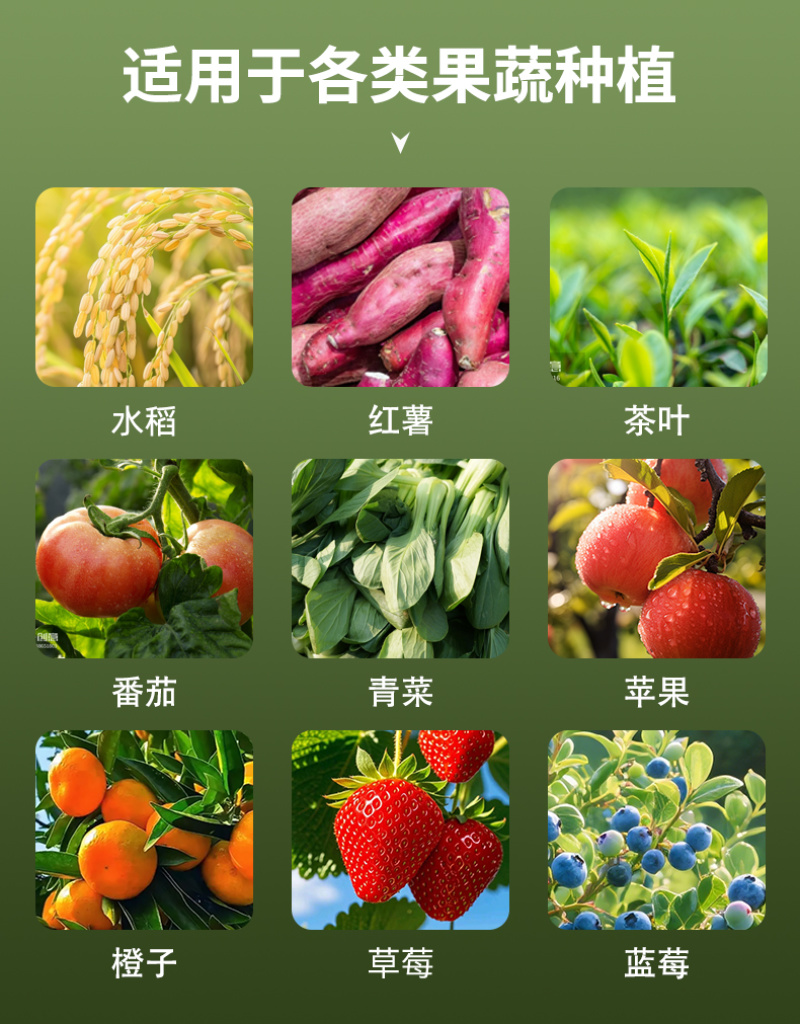 蔬菜花卉专用杀菌型肥料防死苗烂根青枯立枯萎防根腐猝倒腐烂