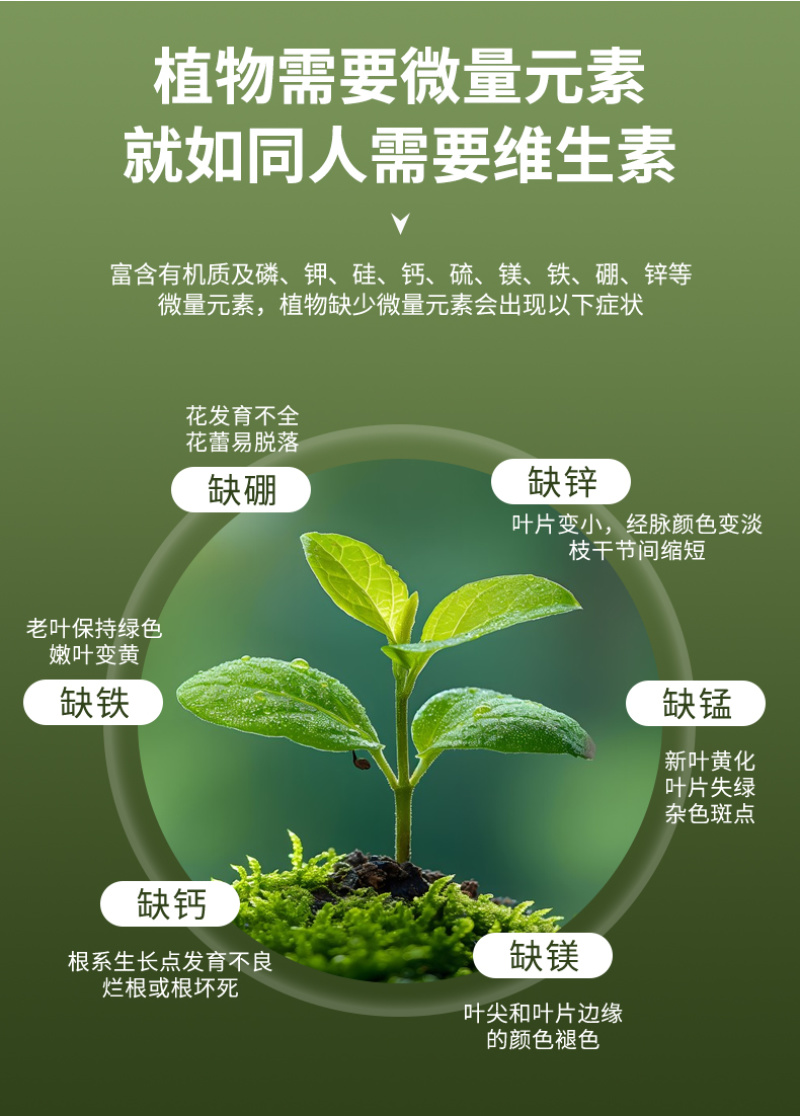 蔬菜花卉专用杀菌型肥料防死苗烂根青枯立枯萎防根腐猝倒腐烂