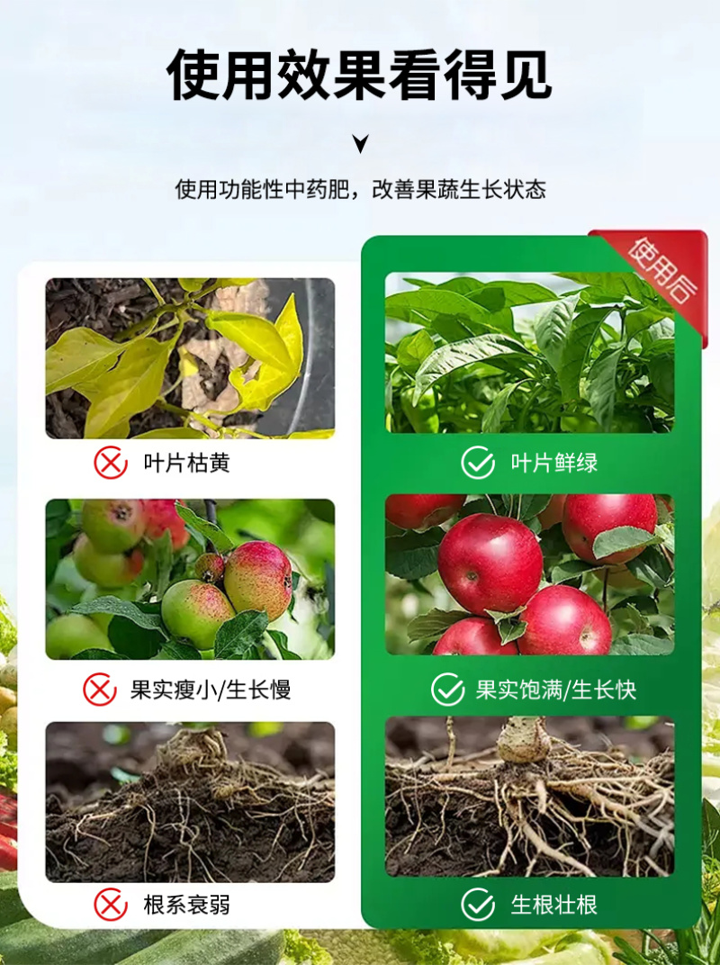 蔬菜花卉专用杀菌型肥料防死苗烂根青枯立枯萎防根腐猝倒腐烂