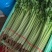 【热卖】精品西芹芹菜量大从优对接商超全国欢迎致电联系
