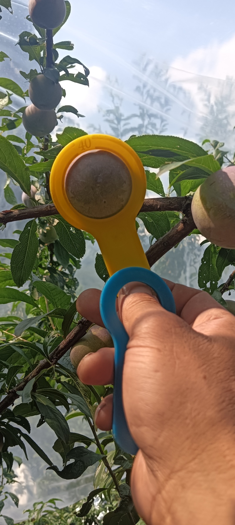 精品密钱李