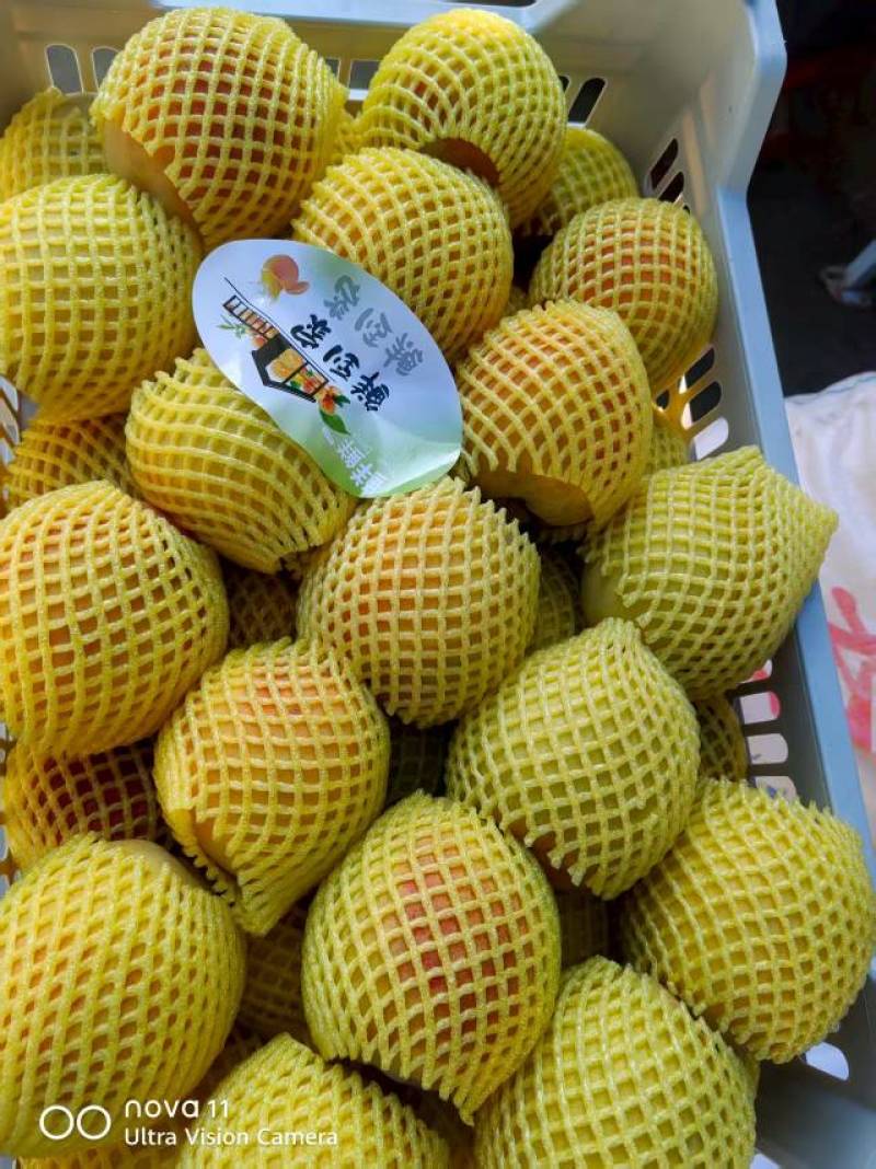 供应高山锦绣黄桃阳光果