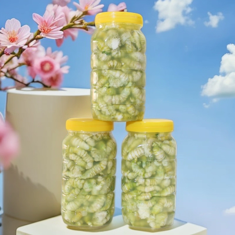 豆丹