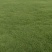 草坪种植基地场地直发货大量有货供应……