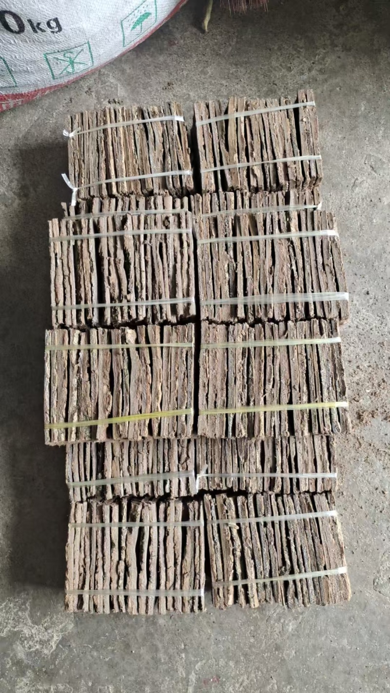 杜仲1*1丁