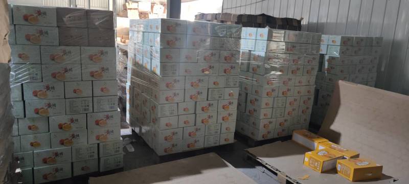 砀山精品黄桃罐头对接中高端团购平台货源充足量大从优