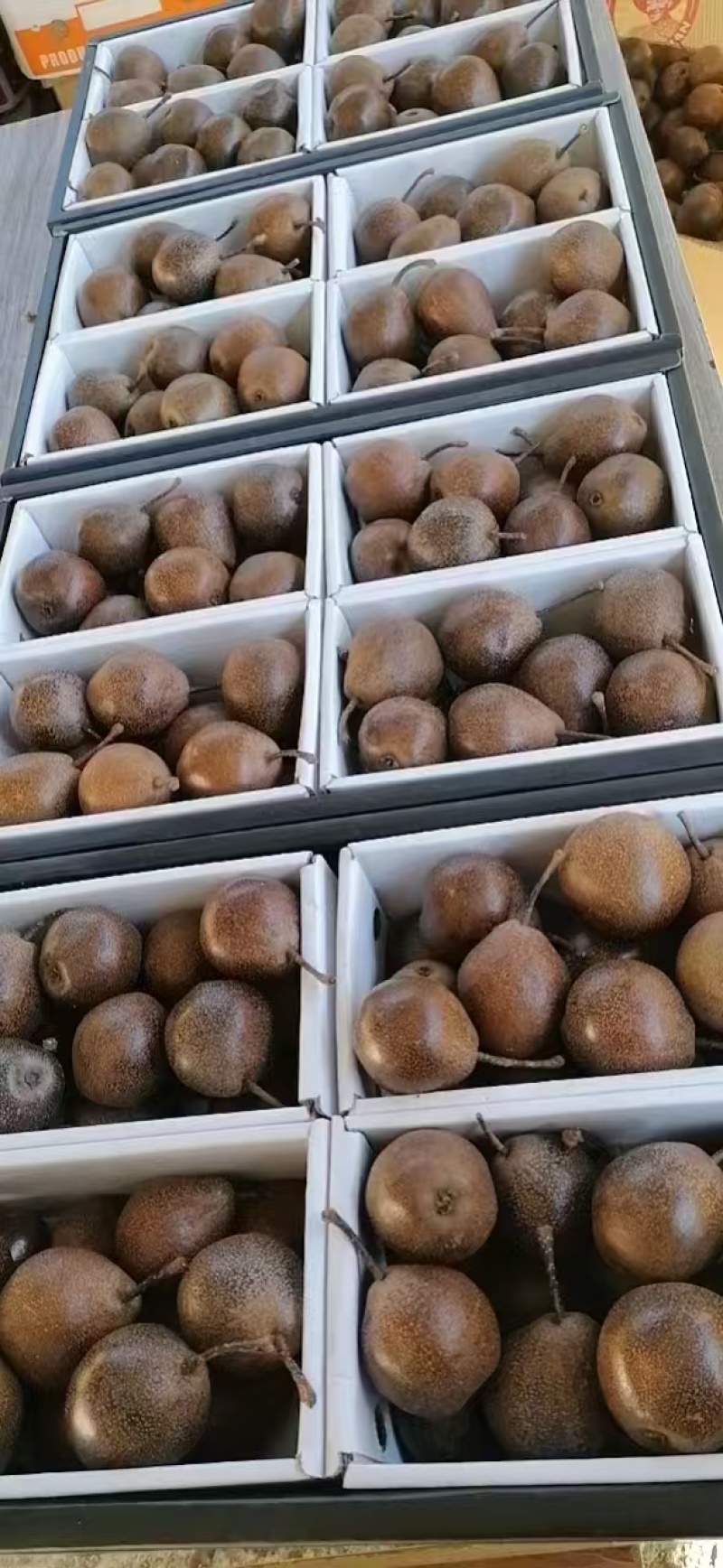 苹果梨&尖把梨/产地现货随到随装/量大从优/可全国发货