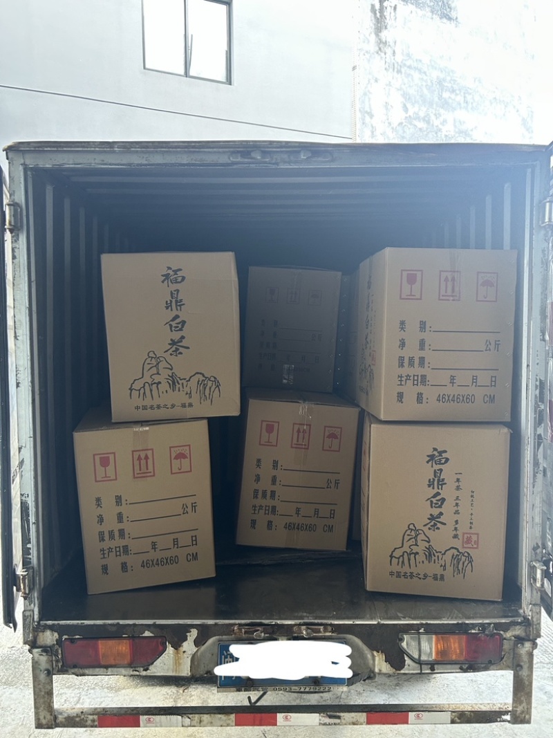 2019寿眉大量现货