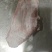 肥猪槽头分割三七肉青比例精准全部新货厂家直销