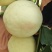 永莲蜜桃1号刚开始拆袋150亩