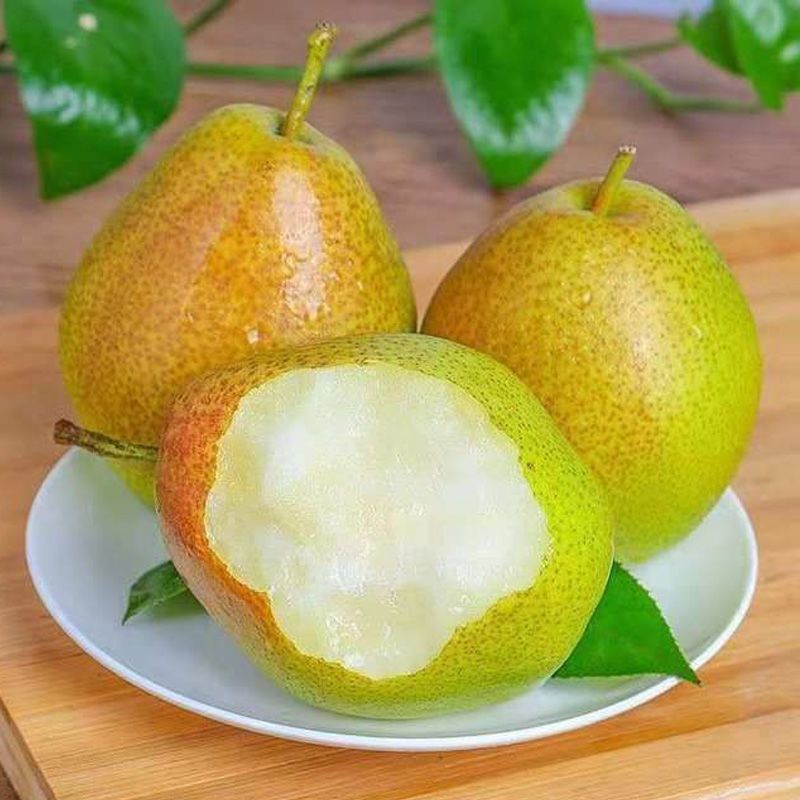 红香酥梨，脆甜多汁，对接各大团购，电商一件代发