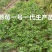 黔莓一号第一代草莓苗高产无病毒欢迎咨询探讨