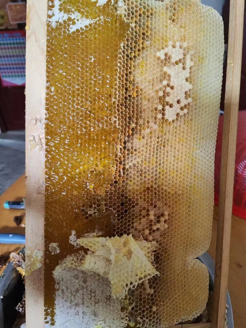 土蜂蜜