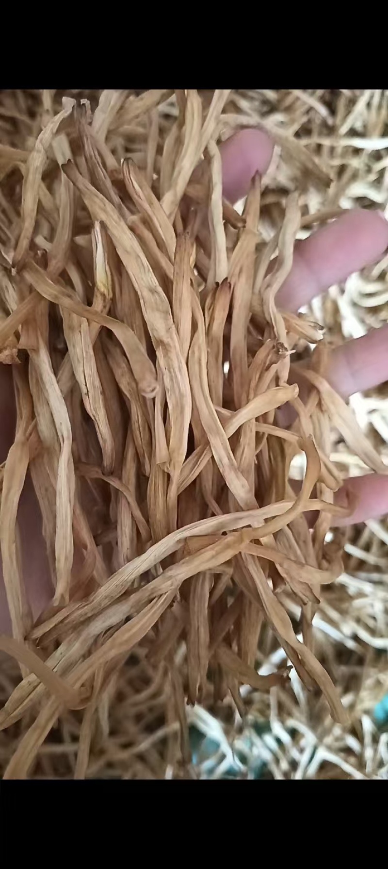 黄花菜干黄花自产自销