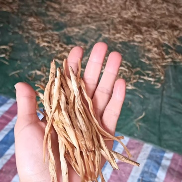 黄花菜干黄花自产自销
