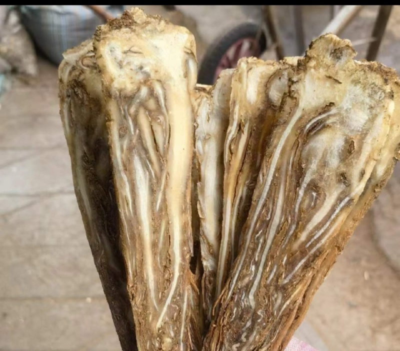 甘肃岷县精品当归，产地源头批发价，现货现发，品质有保证