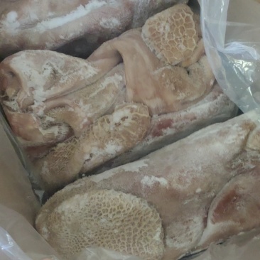 精品牛大肚带金钱肚