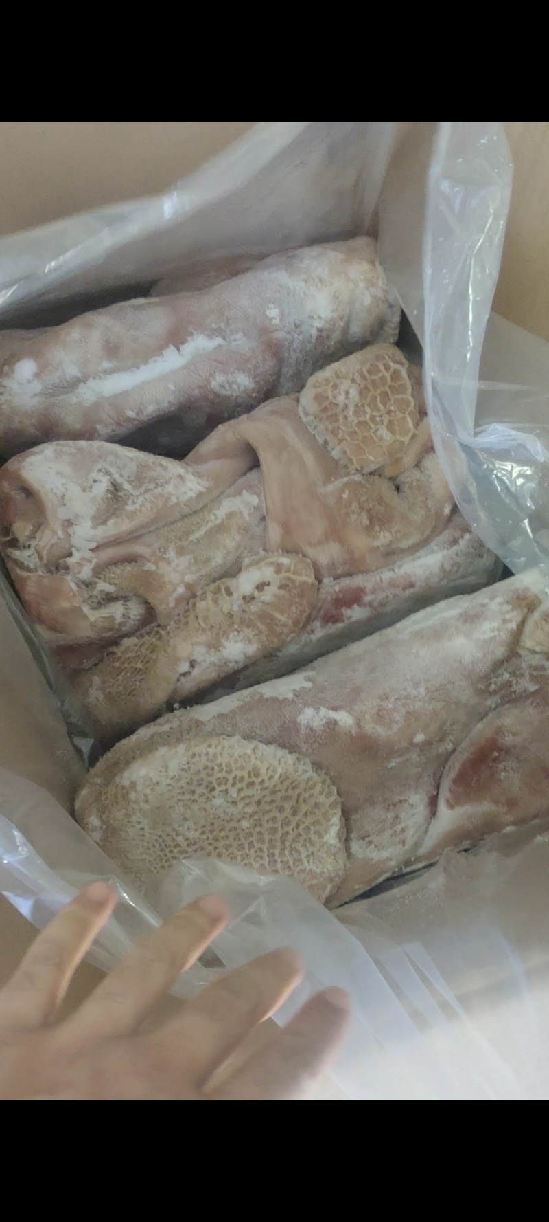 精品牛大肚带金钱肚