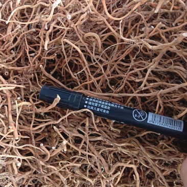 鱼腥草根（中草药）品质优良，质量保证，欢迎老板咨询