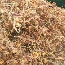 野生金银花，贵州金银花，金银花