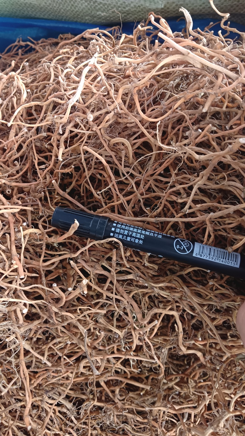 鱼腥草根（中草药）品质优良，质量保证，欢迎老板咨询
