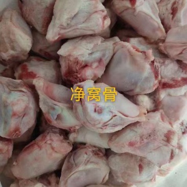 净窝骨
