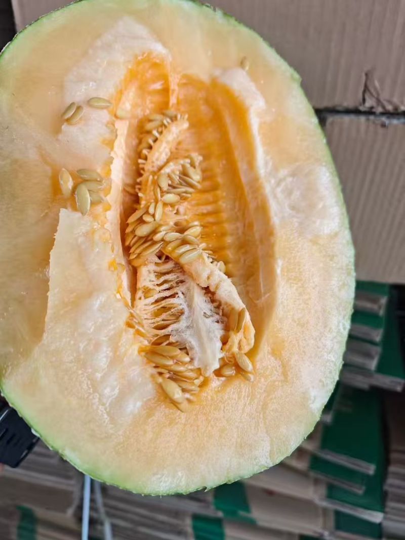 网红袋装哈密瓜，可单装混装，大量上市中欢迎咨询