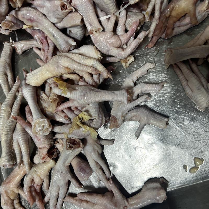次鸡爪