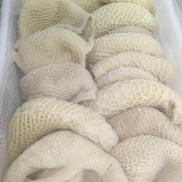【熟牛杂】半成品金钱肚