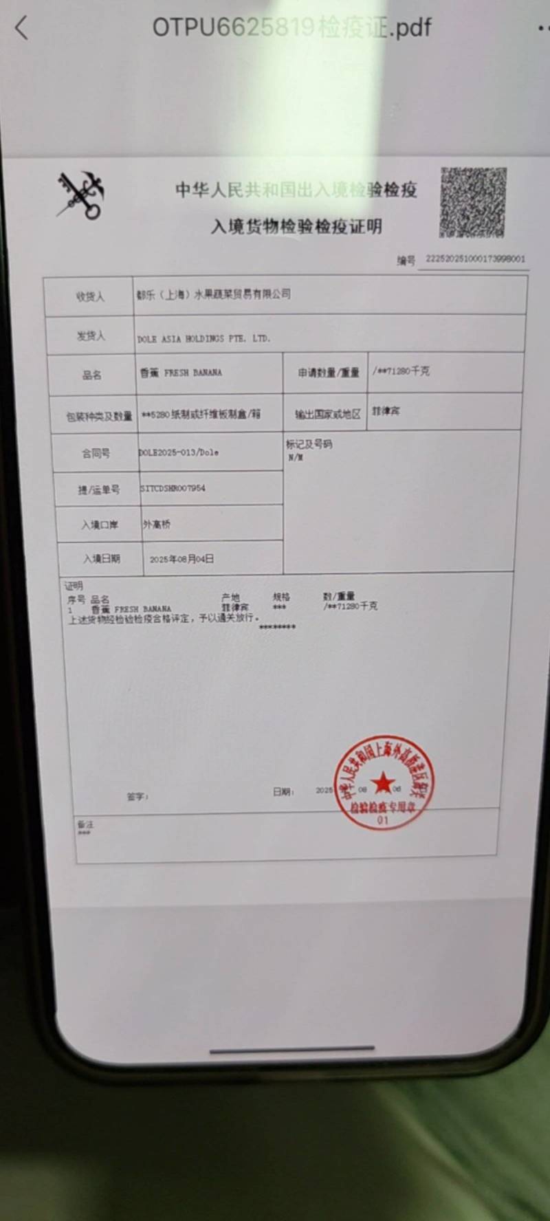 【精品】菲律宾香蕉进口香蕉《吉坤、甜乐》生熟皆可供货