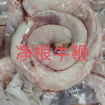 净根牛鞭