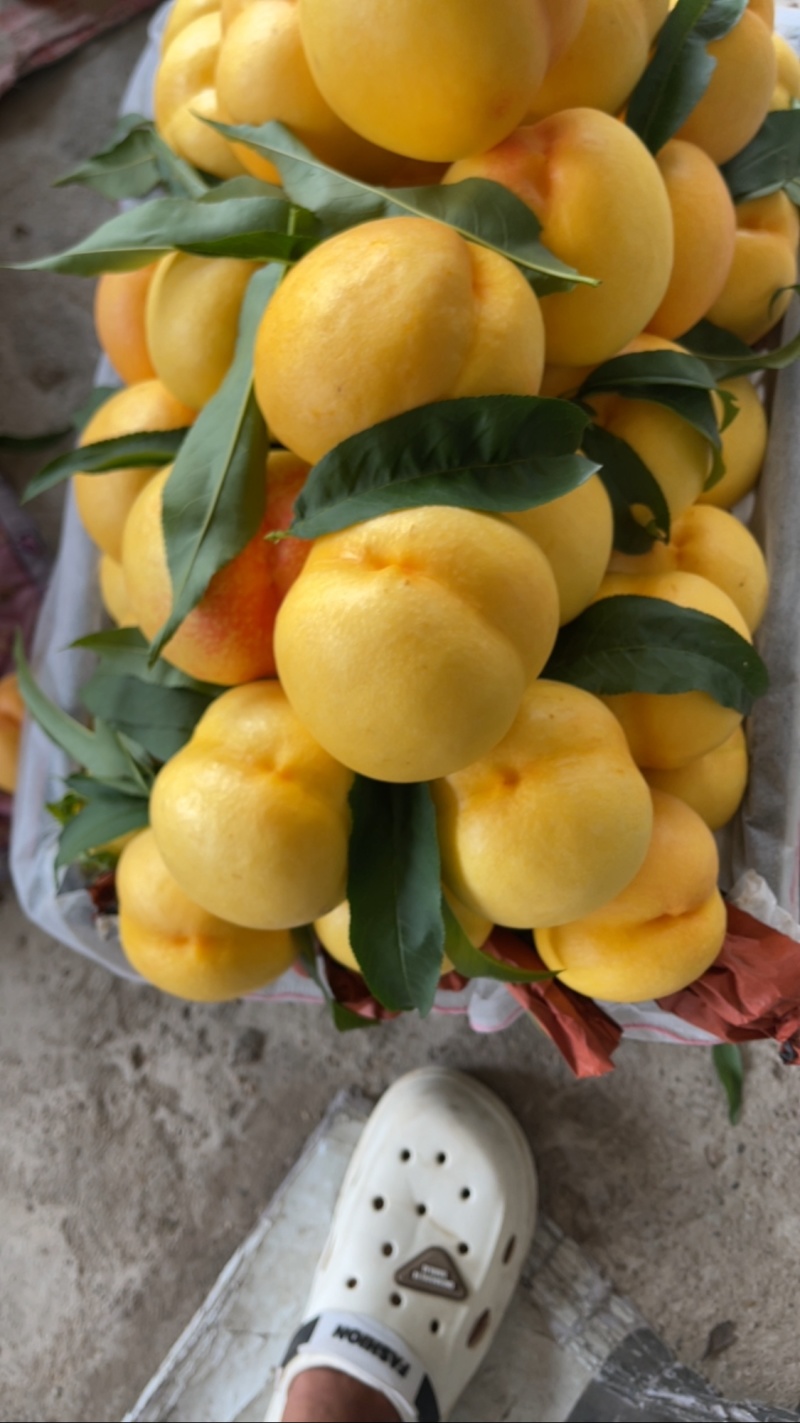 精品黄油糖高