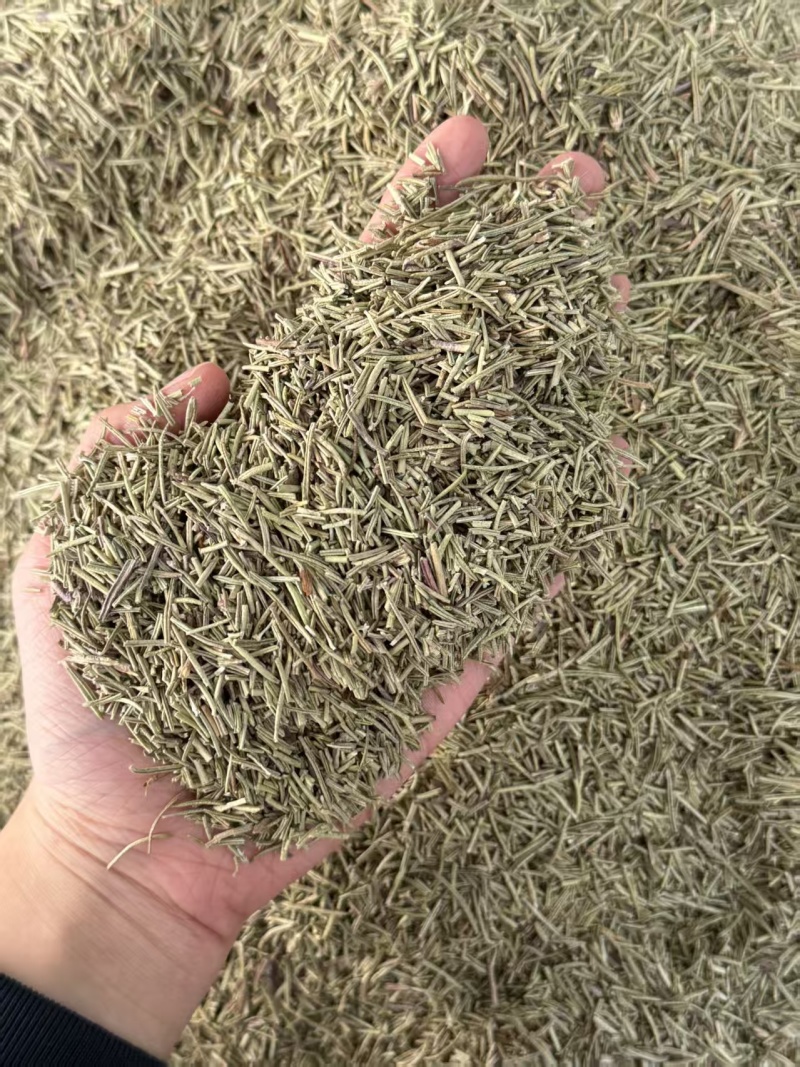 迷迭香西餐调味料迷迭香迷迭香干叶迷迭香叶