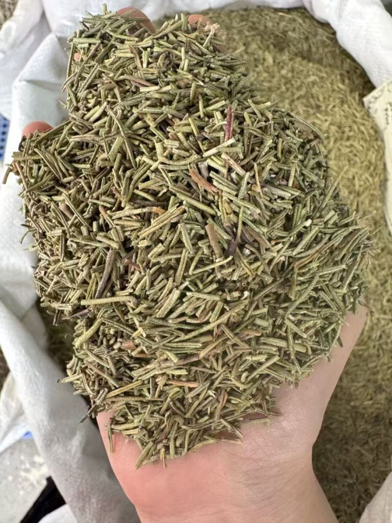 迷迭香西餐调味料迷迭香迷迭香干叶迷迭香叶