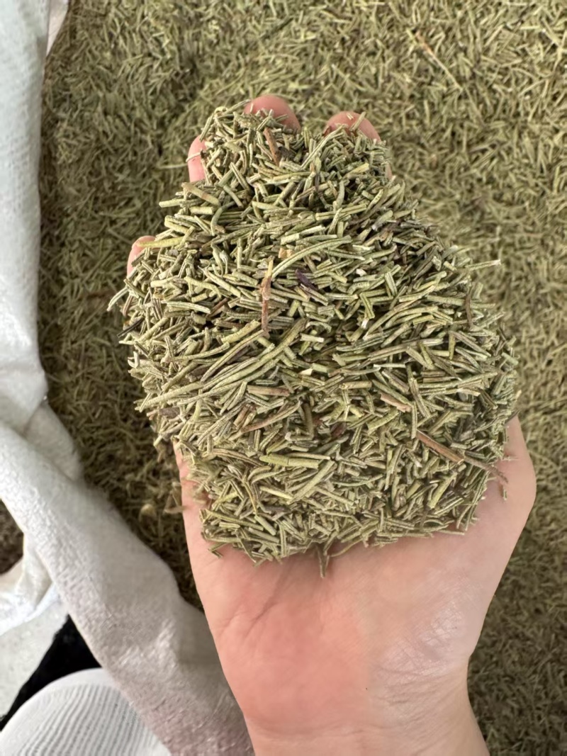 迷迭香西餐调味料迷迭香迷迭香干叶迷迭香叶