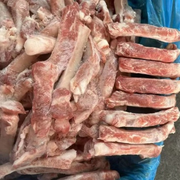 肥猪肋排条15吨