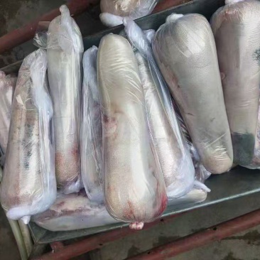 山东精品牛舌，牛舌精修无油，对接商超，批发市场，欢迎来电