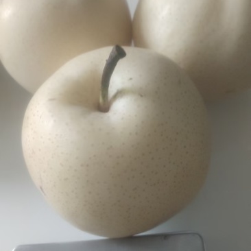新鲜黄金梨上市，