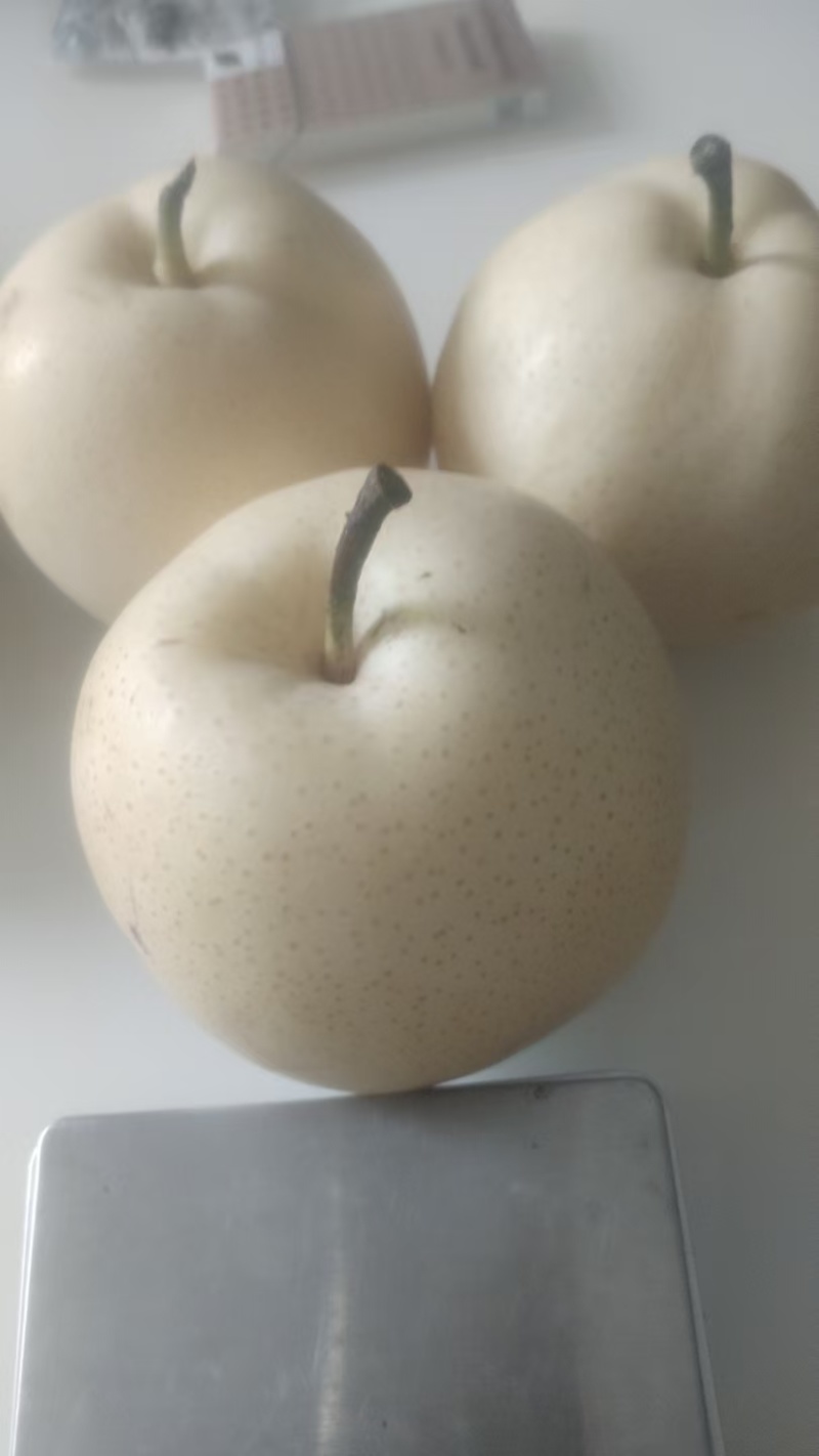 新鲜黄金梨上市，