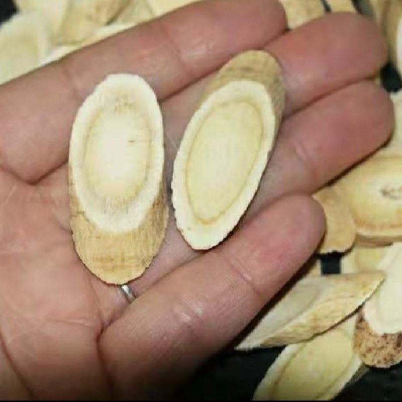 甘肃产地黄芪指甲片规格1.2m-1.5m精品货，量大从优