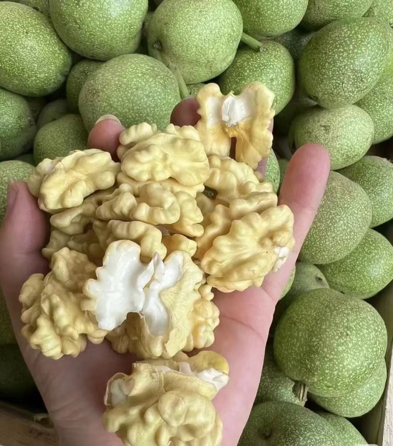 核桃
