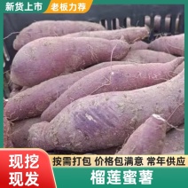河北红薯丝滑红瑶榴莲蜜薯，红薯中的天花板