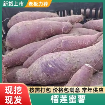 河北红薯丝滑红瑶榴莲蜜薯，红薯中的天花板